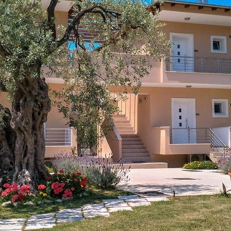 Anatoli Studios Skala Rachoni (Thasos) Exterior foto