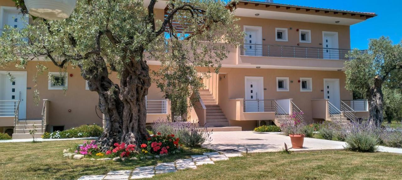Anatoli Studios Skala Rachoni (Thasos) Exterior foto