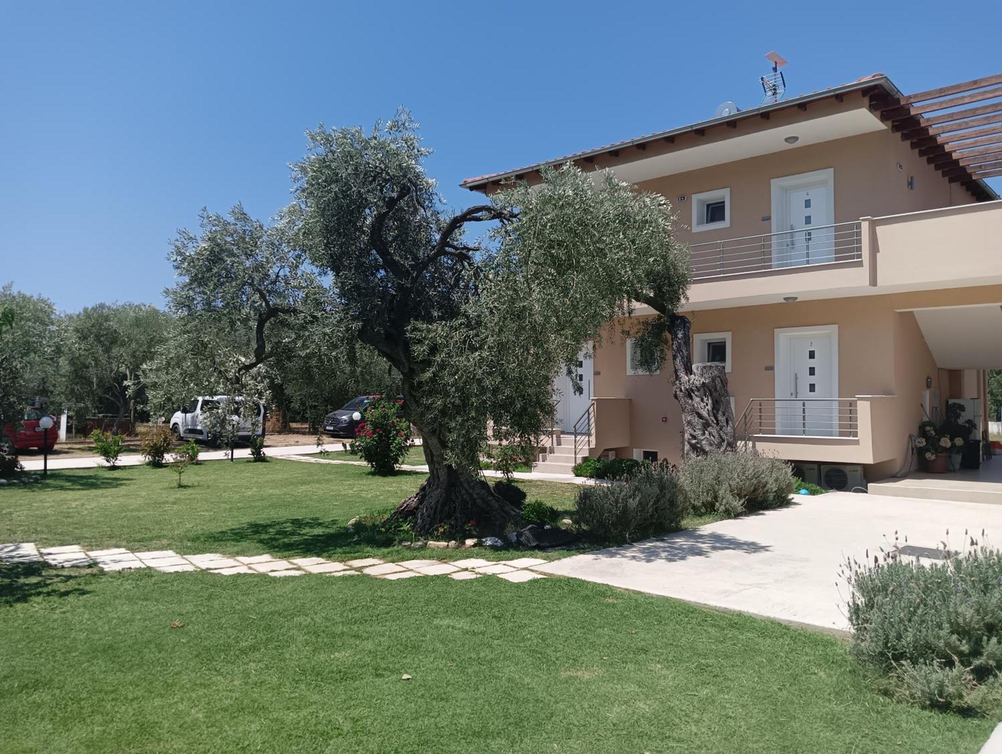 Anatoli Studios Skala Rachoni (Thasos) Exterior foto