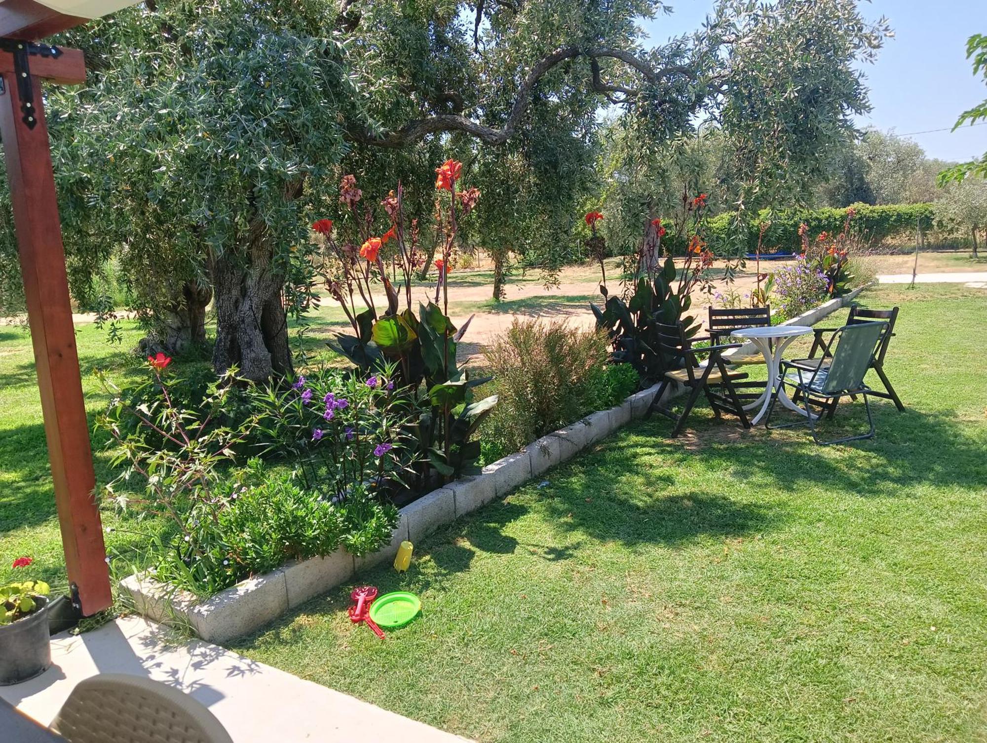 Anatoli Studios Skala Rachoni (Thasos) Exterior foto