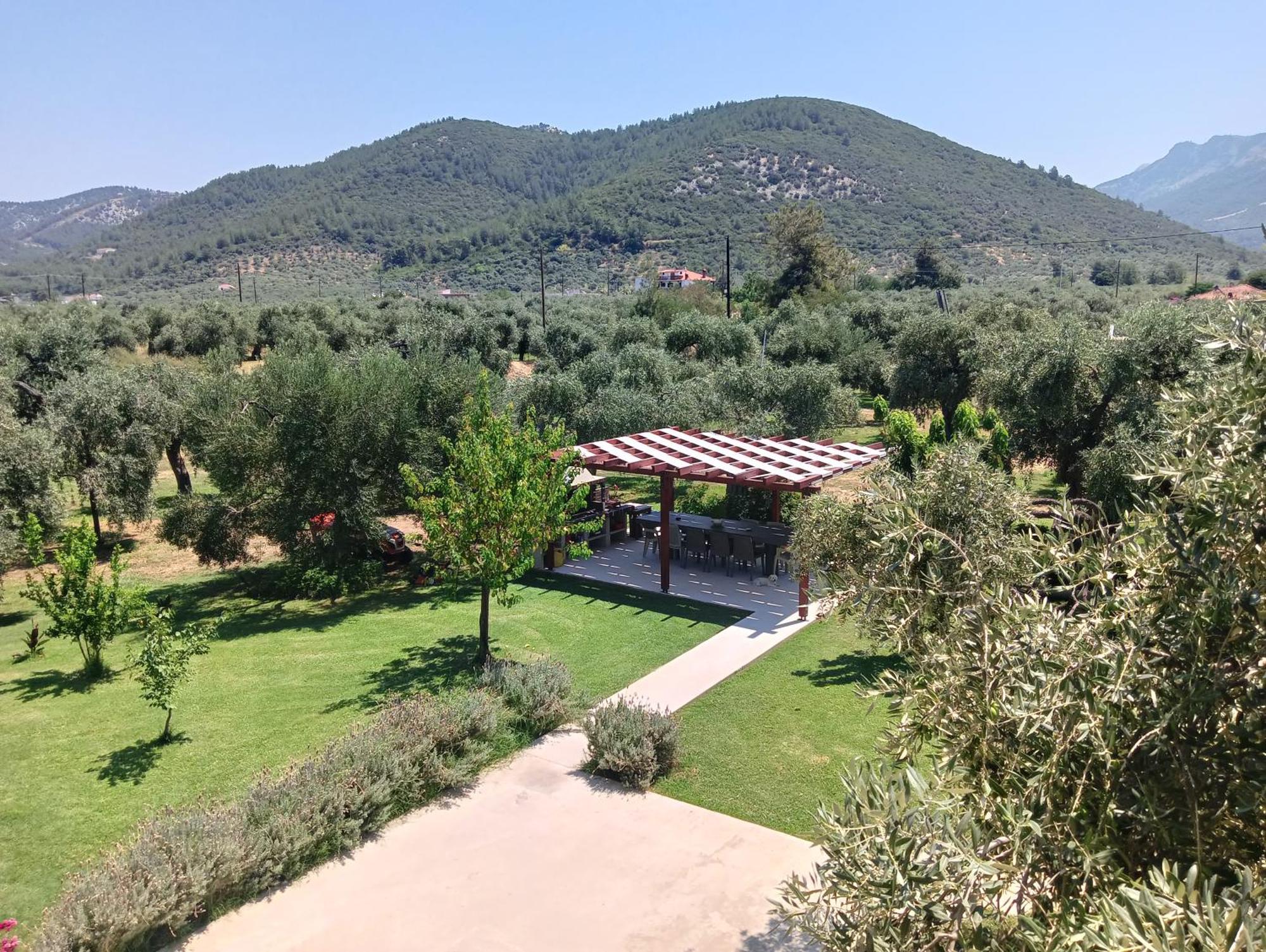 Anatoli Studios Skala Rachoni (Thasos) Exterior foto