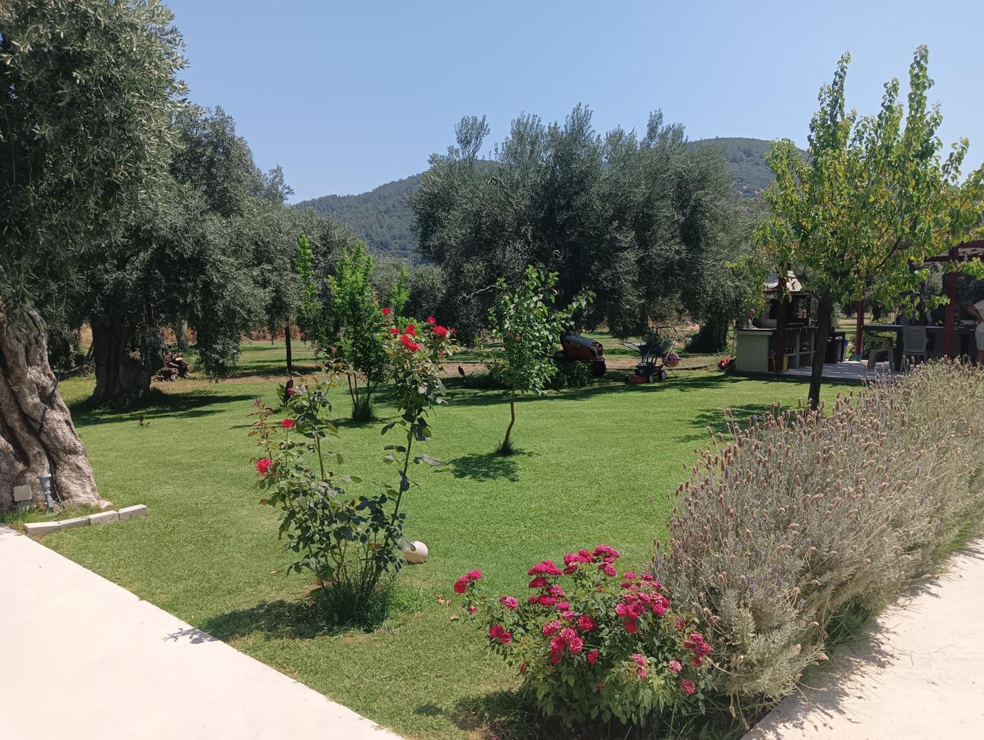 Anatoli Studios Skala Rachoni (Thasos) Exterior foto